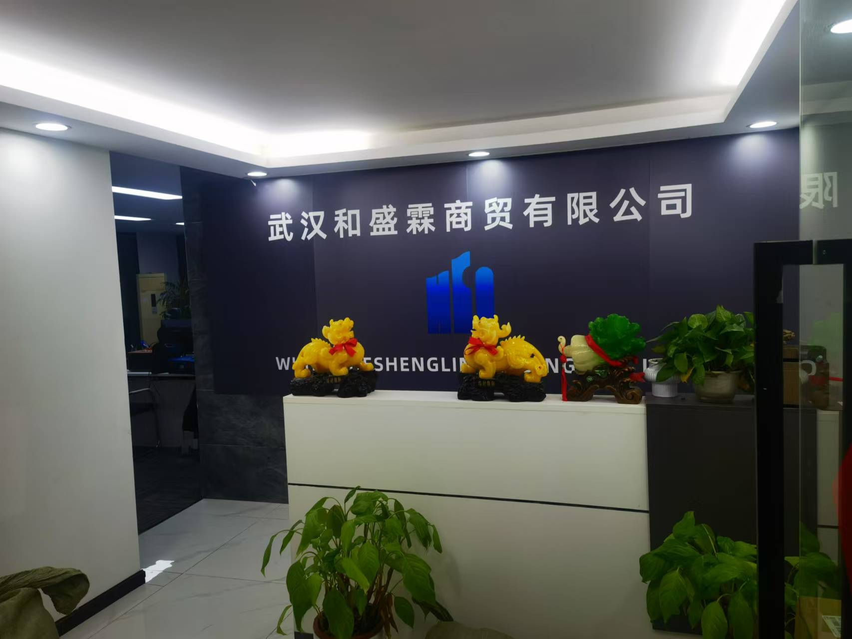 公司展示