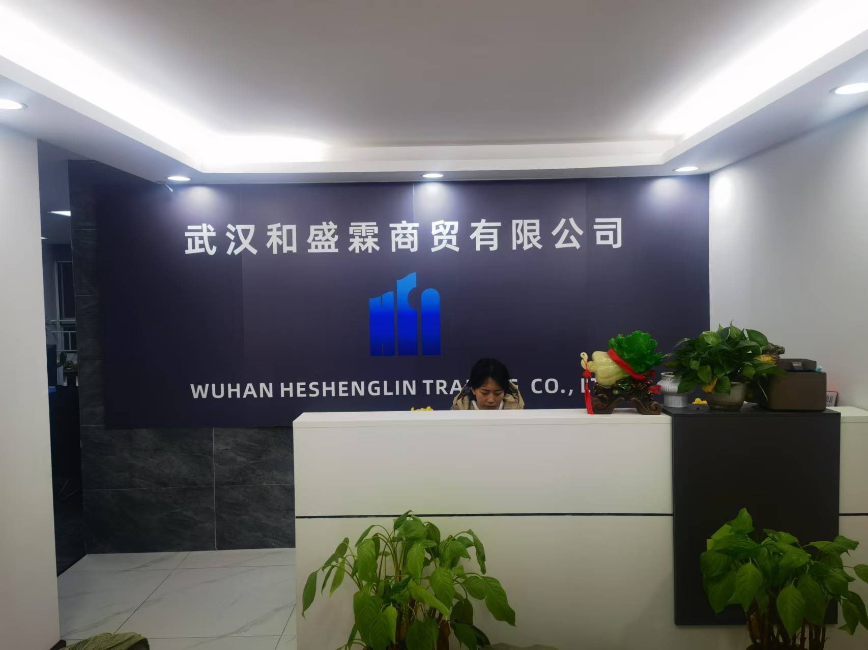 公司展示